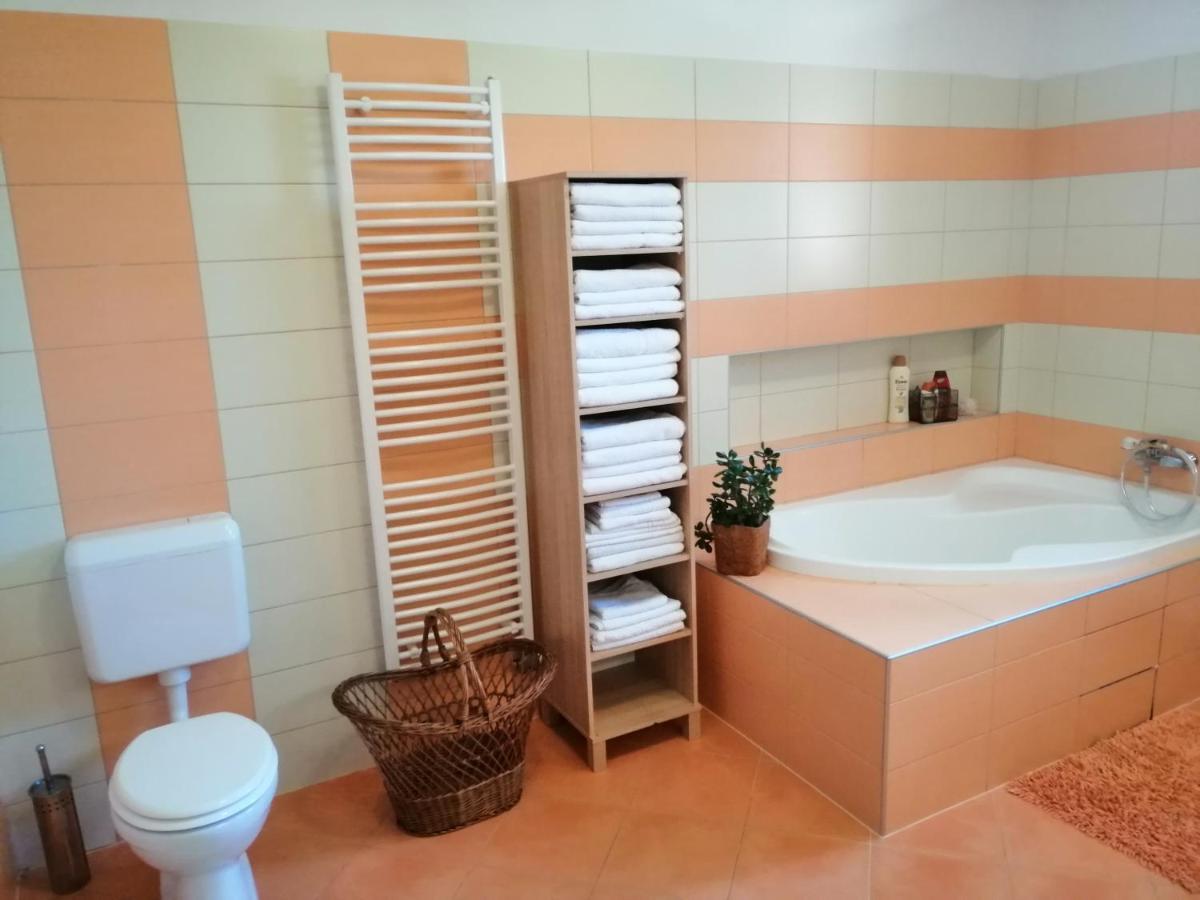 Vizaknai Apartmanhaz Szekesfehervar Bagian luar foto
